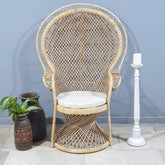 Cane Studio Wicker Rattan Bamboo Cane Chair  119x63x160 cm